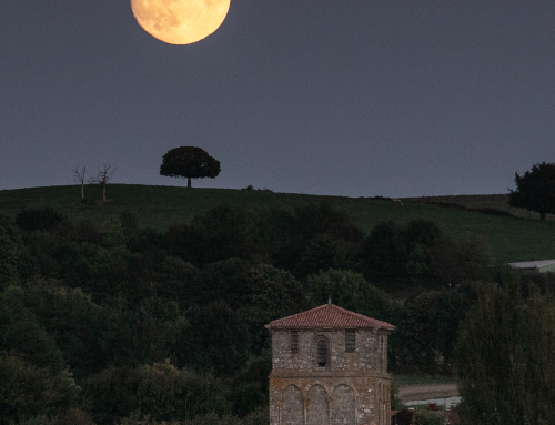 Le Vieux Pouzauges