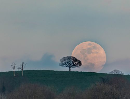 Lever pleine lune Pouzauges